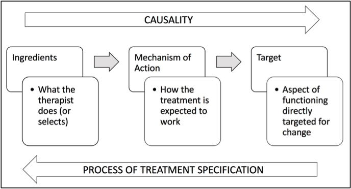 The tripartite structure of treatment theory. 